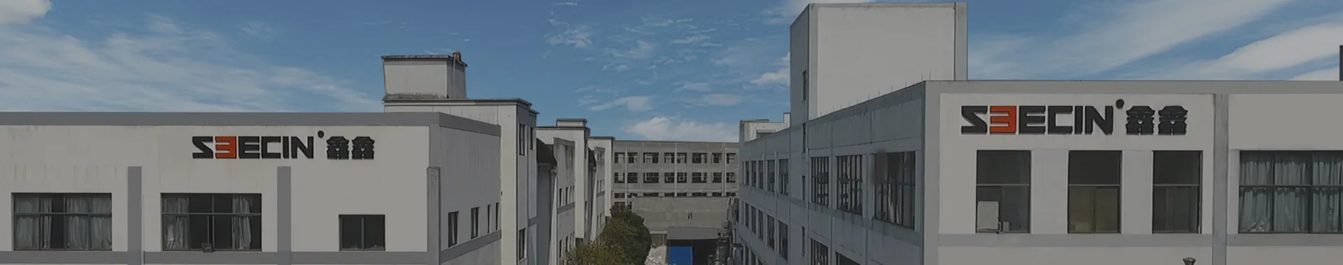 Company Overview